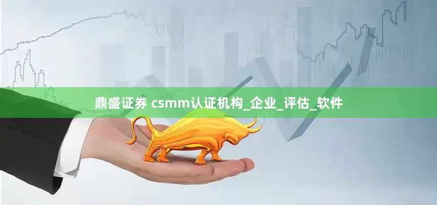 鼎盛证券 csmm认证机构_企业_评估_软件