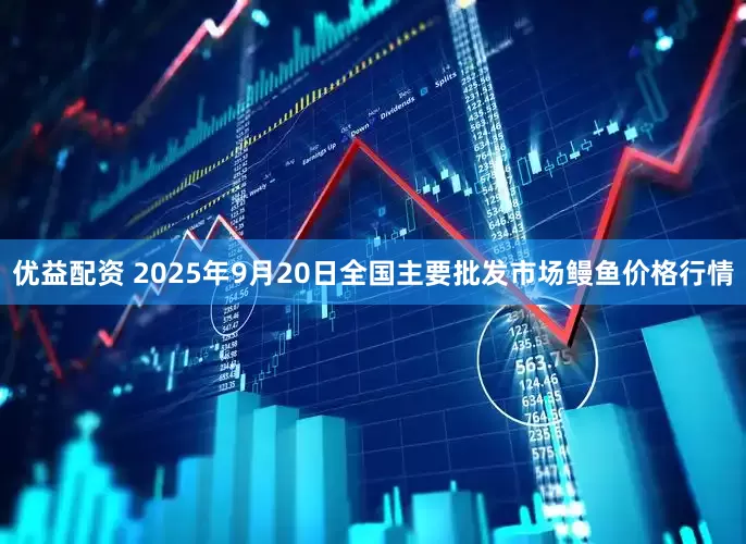 优益配资 2025年9月20日全国主要批发市场鳗鱼价格行情
